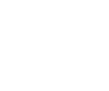 Racing Bulls logo